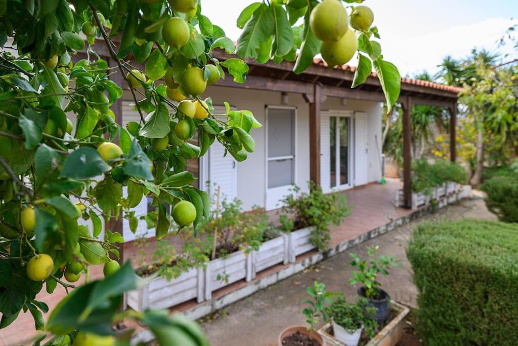 Villa Farmbill Markópoulon Exterior foto
